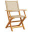 22-3 Wicker/Rattan Garden Chair With Cushion Folding Chair Set-105675896
