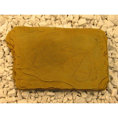 Tremplin fossile