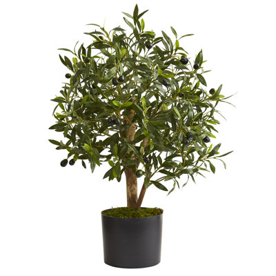 29'' Faux Olive Tree Tree in Planter