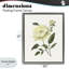 Cadre flottant crème avec pivoines de jardin crème, design par Nan-748869478-748869479