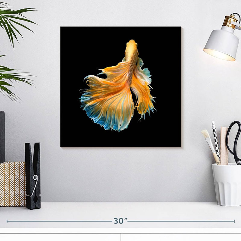 Brami poisson de chasse jaune grandiose, H 16 po x l 16 po