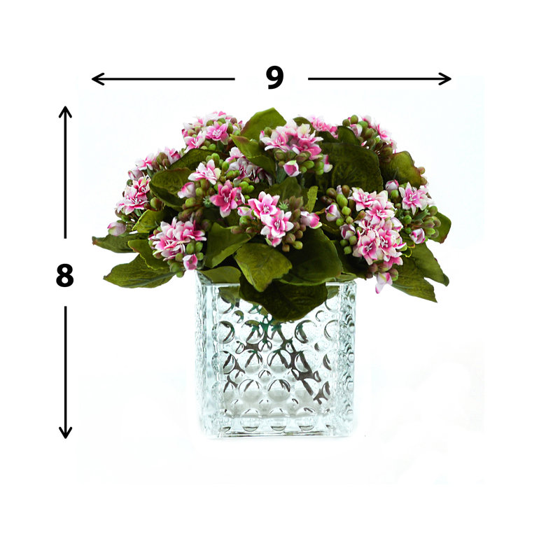 Variegated Pink/White Kalanchoe Arrangement
