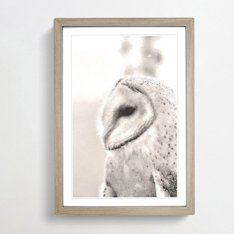 Watchful Barn Owl Bird - Picture Frame Graphic Art Print, 60cm H x 40cm W x 2cm D, Oak