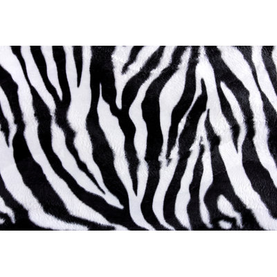 Zebra Skin Pattern - Wrapped Canvas Print