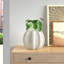 Chenery Ceramic Pot Planter-73484414