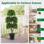 Towanda 115cm Tree in Pot-2014945167
