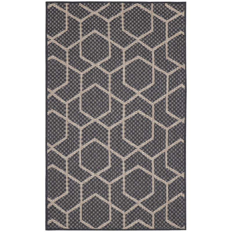 Reidy Modern Indoor/Outdoor Rug, Rectangle 3' x 5', Charcoal