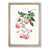 Oak Framed selected