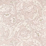 Pure Bachelors Button Wallpaper