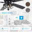 Ventilateur de plafond 52 po à 5 pales en cristal moderne avec lumières et télécommande