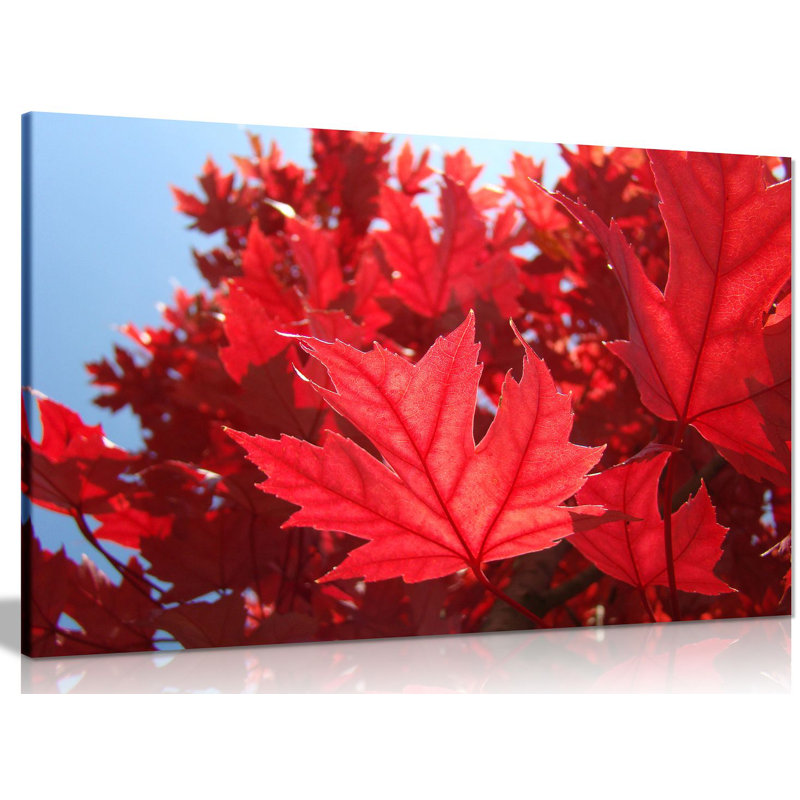 Wrapped Canvas Print, 61cm H x 91cm W