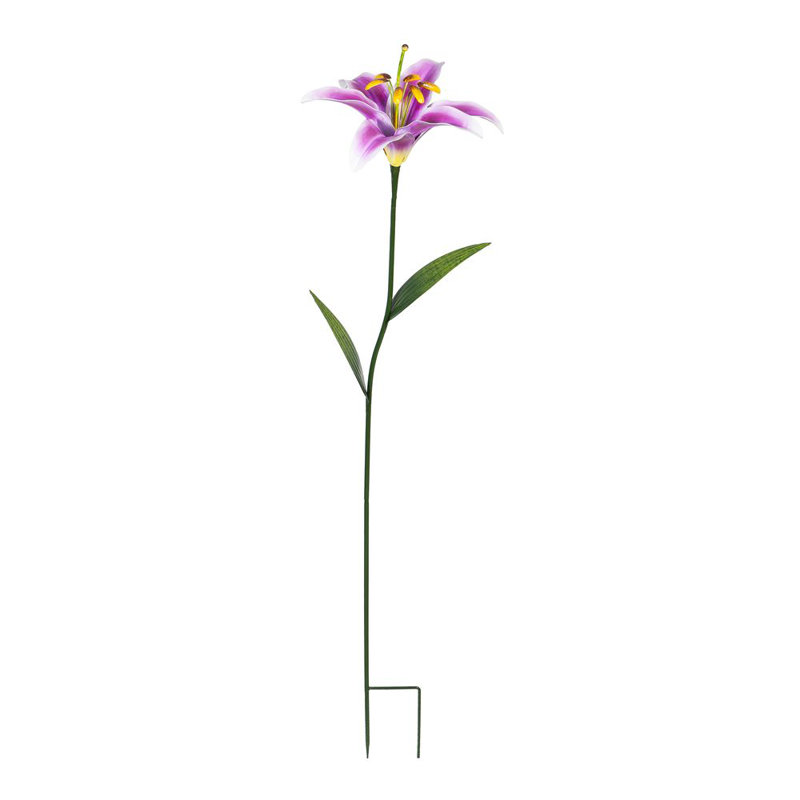 Lily de jardin, Mauve