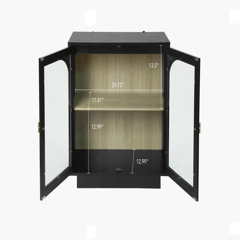 Storage Cabinet with 2 Acrylic Door, Black