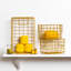 Organize + Display Box Set-1759070653