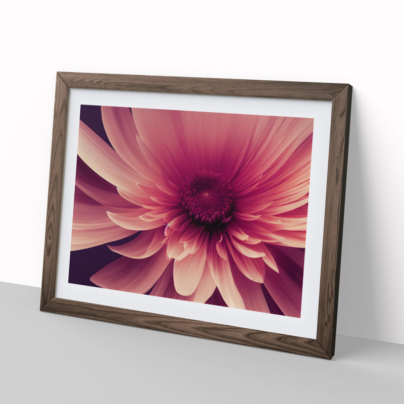 Cute Chrysanthemum Flower Vol.2 - Framed Print, 34cm H x 46cm W x 2cm D, Walnut