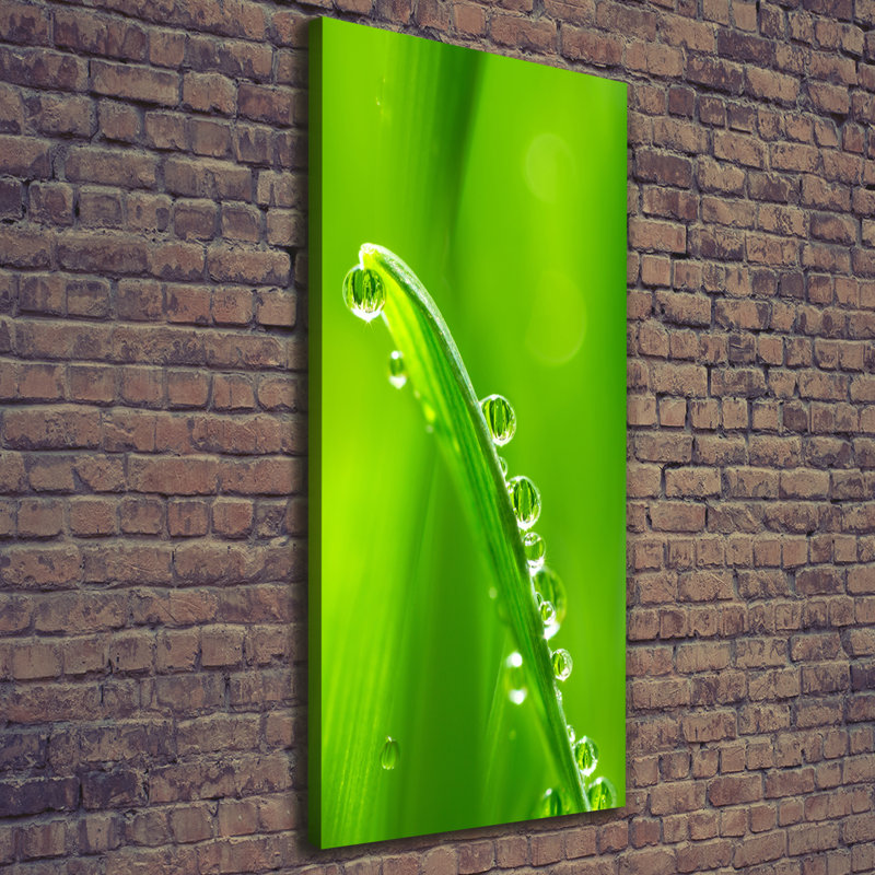 Blades Of Grass - Wrapped Canvas Print