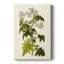 Olive Greenery VI - peinture sur toile tendue-707727935