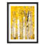 Bouleaux lumineux en automne-101376453-101376454