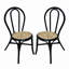 Ensemble de 2 chaises de salle à manger en rotin 15,5 x 20,5 x 35,5 po