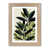 French Oak is out of stock