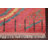 One-of-a-Kind 7'11" X 10'11" Wool Area Rug in Coral