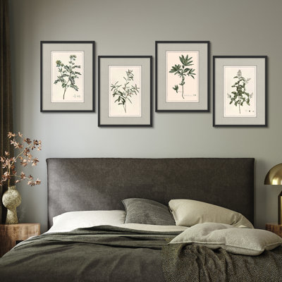 Vintage Botanical Herb Study Framed Wall Art Prints Set of 4 - Classic Plant Illustration for Living Room Office