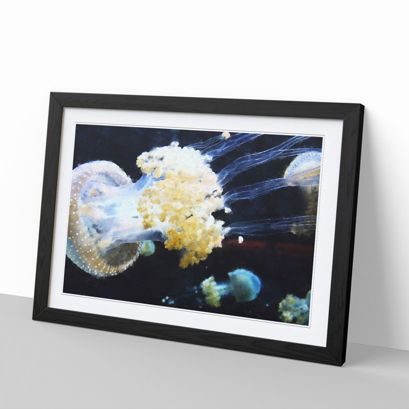 Jellyfish Vol.3 - Picture Frame Painting, 48cm H x 65cm W x 2cm D, Black