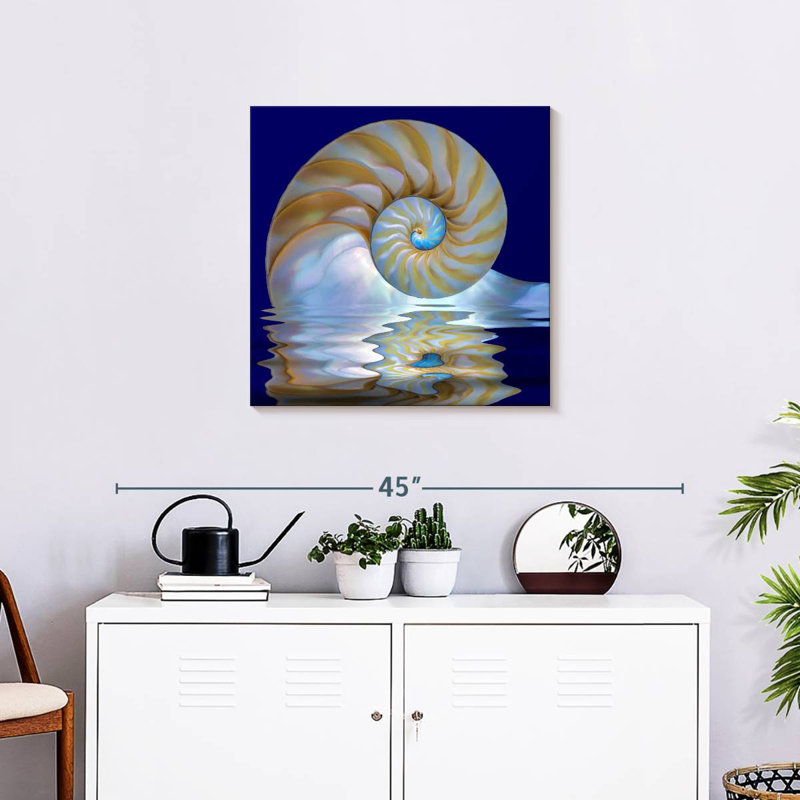 Aletra Nautilus Shell On Water