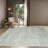 Wool Oriental Indoor Rug