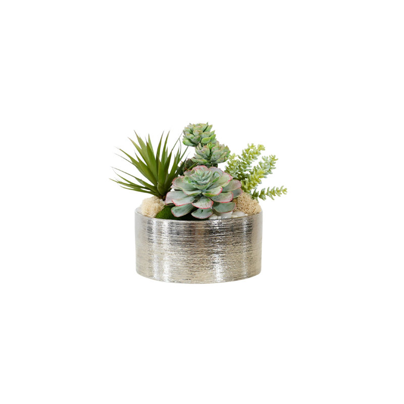 Succulents Arrangement in Silver Etched Bowl
