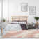 Koo Abstract Indoor Rug