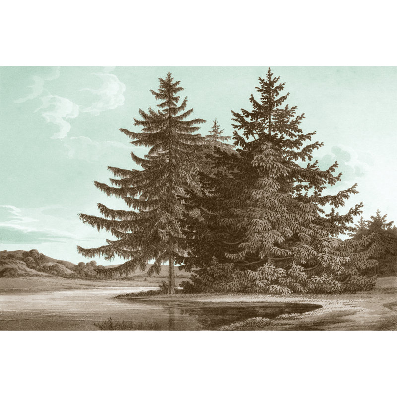 Serene Trees III by Edward Kennion - Wrapped Canvas Painting, 30cm H x 46cm W