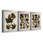 Autumnal Leaves IV - Ensemble de 3 cadres photo sur toile-1516072360-1516072374