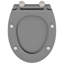 Anthracite Plastic Standard Adjustable Armrests Toilet Seat-1215608313