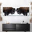Bison Clash sur impression sur toile-1875061304