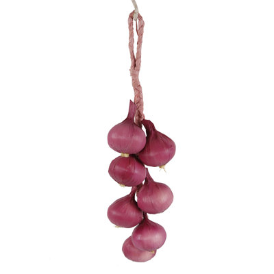 Cossette Strand of Onions