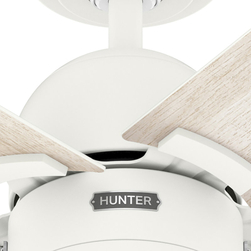 52" Erling 6 - Blade Ceiling Fan with LED Light Kit and Pull Chain, Matte White