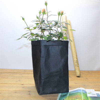 Sac de papier lavable et lavable