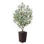 Adcock Artificial Olive Tree for Indoor & Outdoor Home Decor, Faux Olive Tree with Decorative Pot-1771617332-1771617289