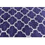 Scottsville Shaggy Navy Blue/Ivory Rug-781666599