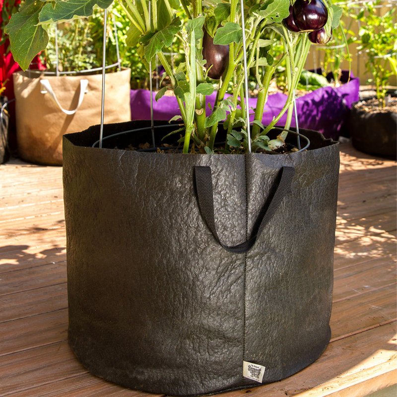 Pot Planter, Black, 15.5 x 20 x 20