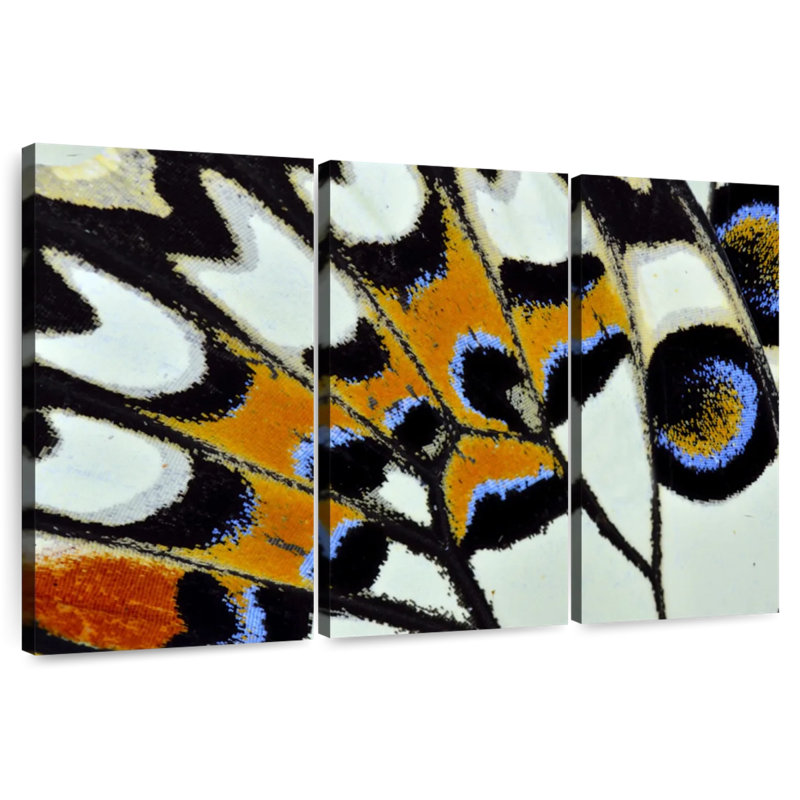 Butterfly Wing Close Up, 28" H x 45" W