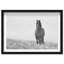 Lone Stallion I Print by Oliver Gal-1920005017-1920005016