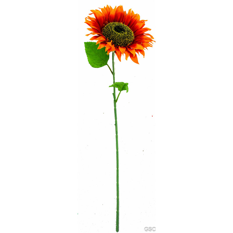 Tournesol artificiel, Récoltes