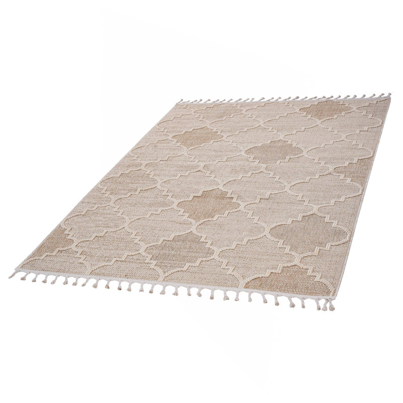 8X10 Cream /Trellis Indoor/Outdoor Area Rug, Rectangle 7'9" x 10'