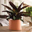 Pot à fleurs rond intérieur / extérieur en plastique moderne avec soucoupe-1933896408-1927843350