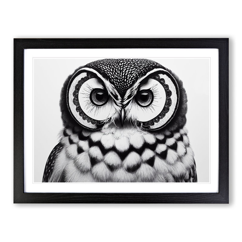 XH1022-9500X Unreal Owl - Single Picture Frame Print, 25cm H x 34cm W x 2cm D, Black Framed