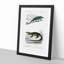 Chameleon Illustrations PL. 4 by Charles D' Orbigny - Picture Frame Painting Print-55536301-55536302