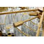 Lustre Lenora 32 pouces -1280120673