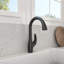 Pagano 2.0 Pull-Down Kitchen Faucet-1345294262